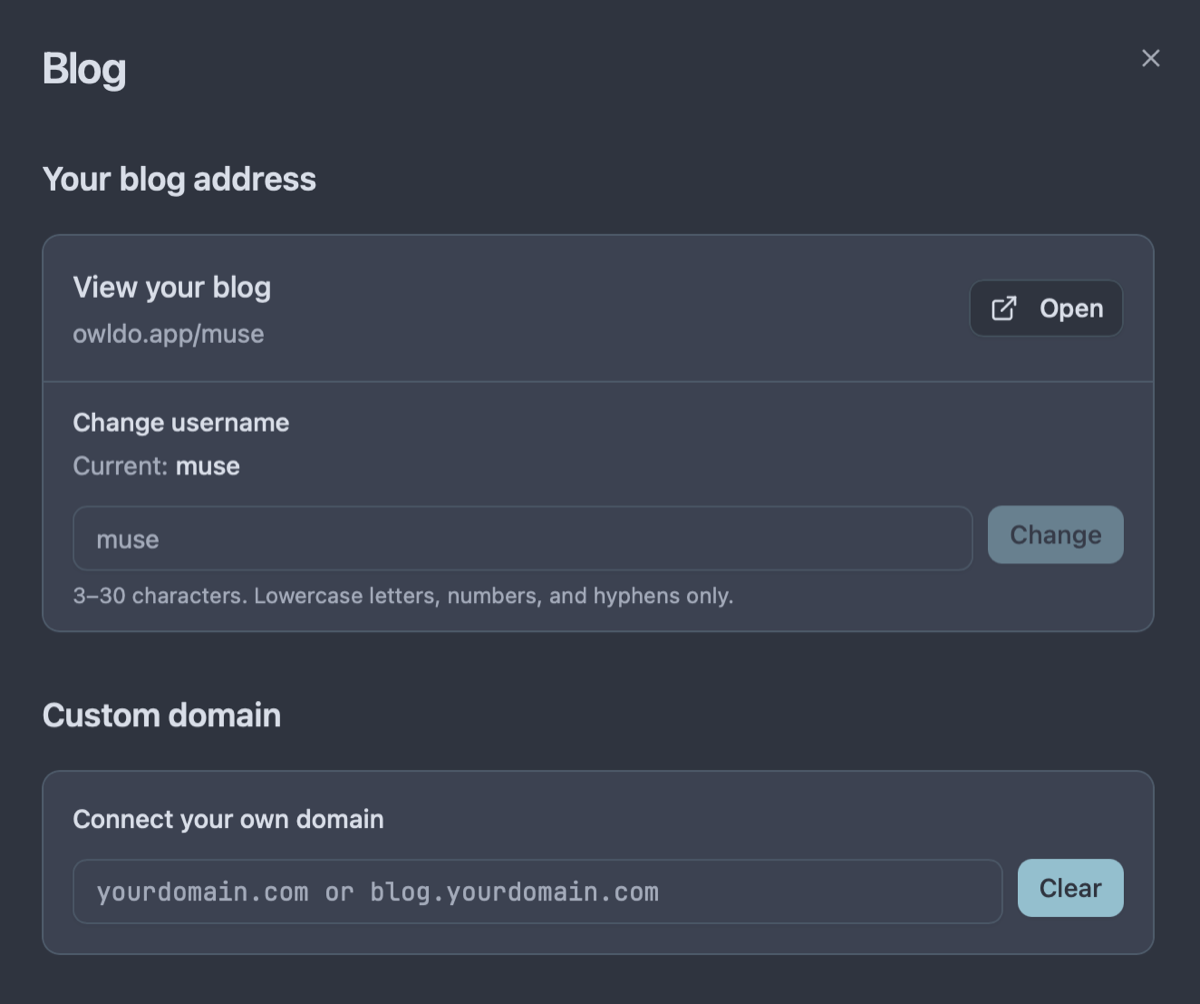 Owldo blog URL and custom domain settings